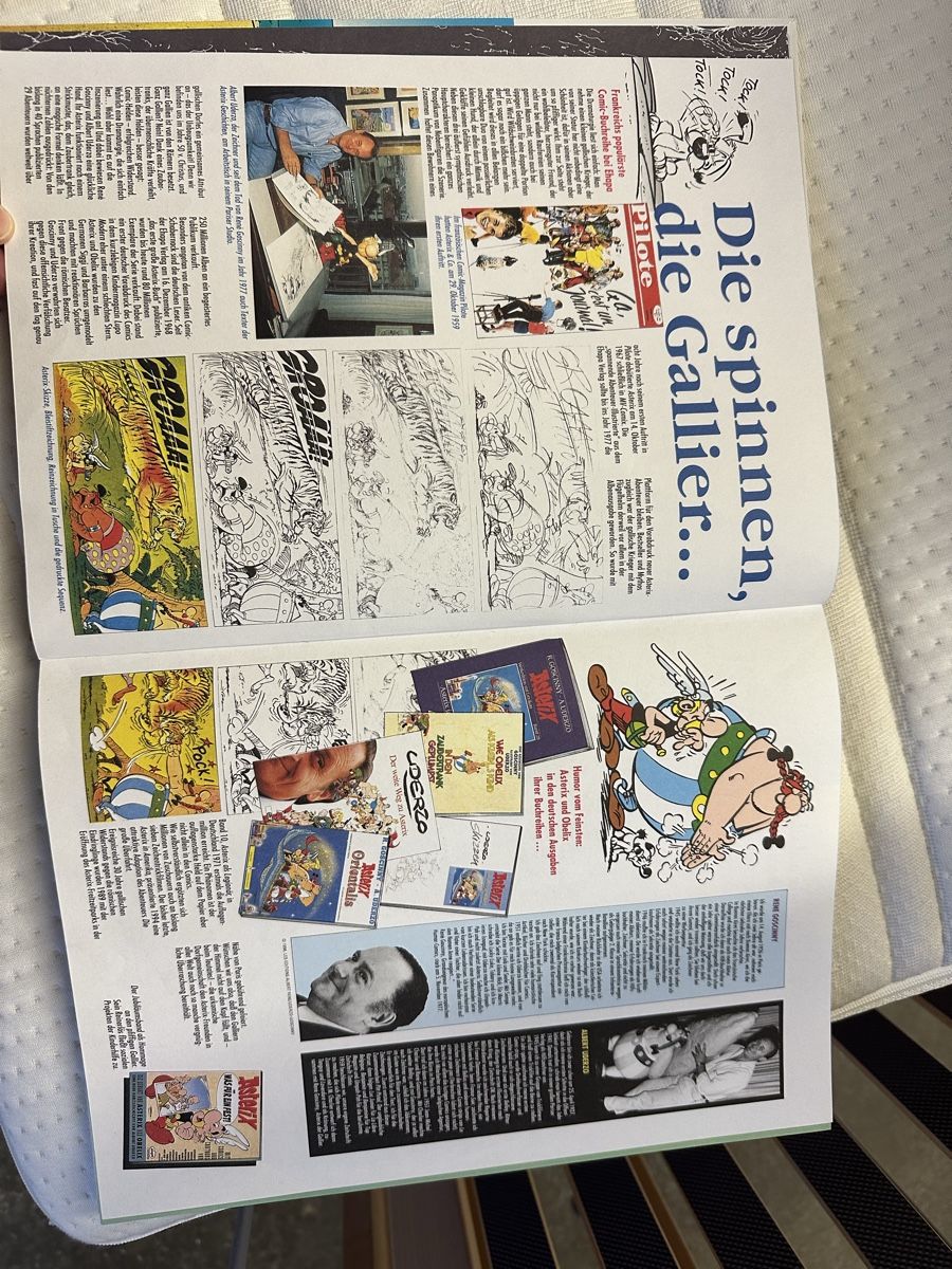 Libri: Asterix und Obelix Buch 1996 – Usato da Frümsen venduto da Swissline90 2