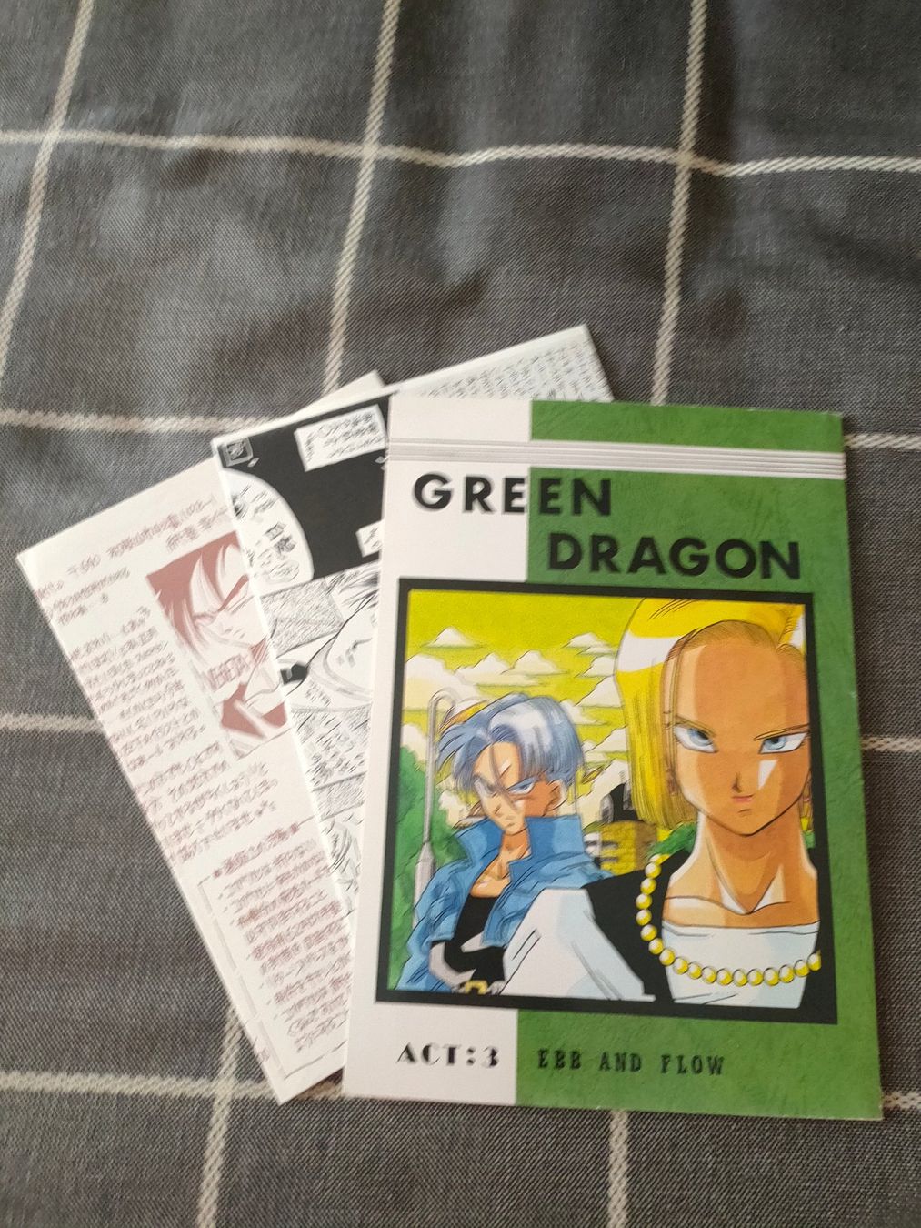 Comics: Dragonball Fan Book Green Dragon Act3 – Gebraucht aus Zürich von Henshin623