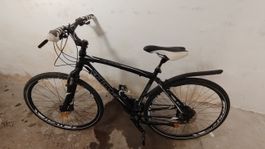 BOTTECCHIA City Cross Bicycle 