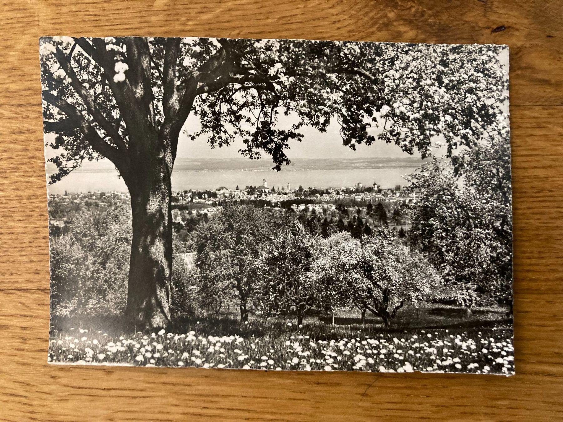 Cartoline postali: Alte Ansichtskarte mit Blick auf Arbon Bodensee – Usato da Mönchaltorf venduto da Tschibi