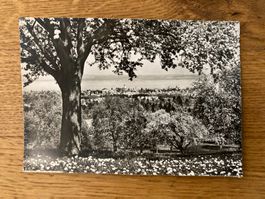 Alte Ansichtskarte mit Blick auf Arbon Bodensee