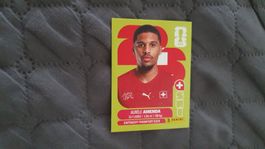 Panini Sticker WM 2026 - SUI 7