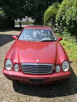 🤩MERCEDES-BENZ CLK 320 LIMOUSINE ELEGANCE FRISCH AB MFK