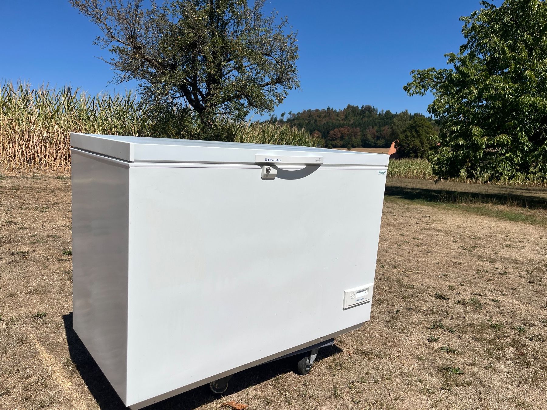 Cassapanche: Tiefkühltruhe Electrolux – Usato da Allmendingen b. BE venduto da juair 1