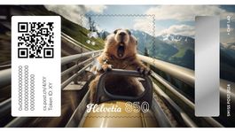 Swiss Crypto Stamp 4.0 - Rodeln  (ID 14)