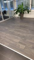 Laminat dielen Premium 8 mm kl Dekor Arosa eiche Fr.18.90 m2