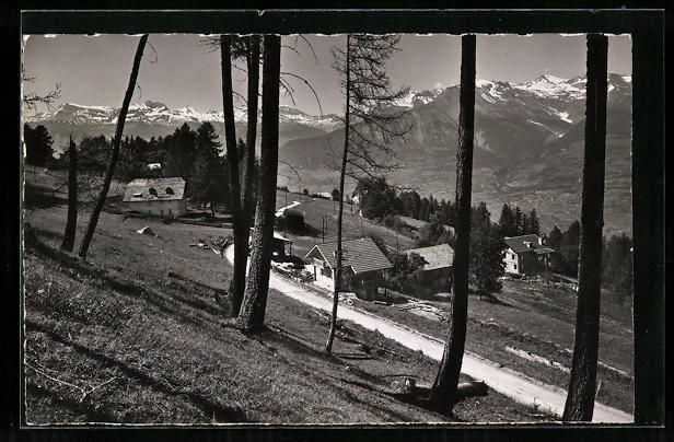 Cartoline postali: Mayens de Sion, Diablerets et Wildhorn – Usato da Berlin venduto da bartko-reher