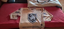 Warm Up Trikot Fribourg Gottéron