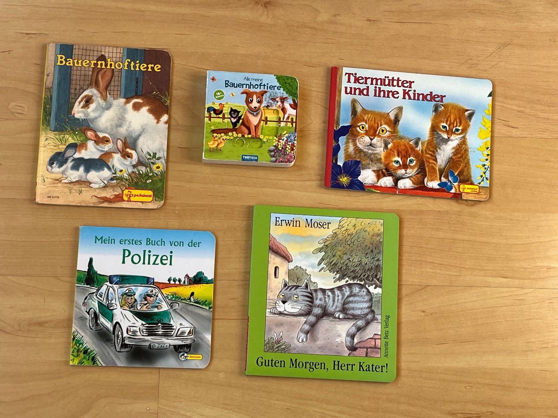 Libri: Bücher aus Karton à Fr. 6.-/Stk. – Usato da Uetendorf venduto da sru128
