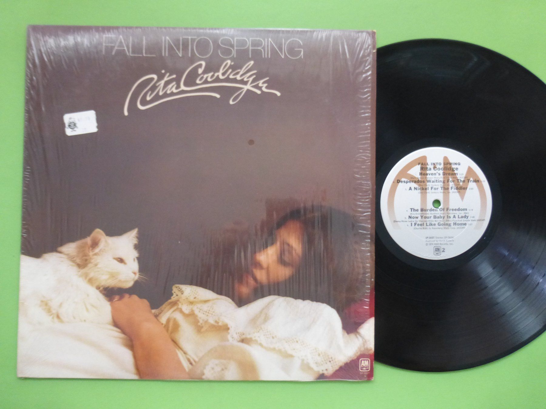 Dischi in vinile: Rita Coolidge – Fall Into Spring – Usato da Zürich venduto da Swiss57