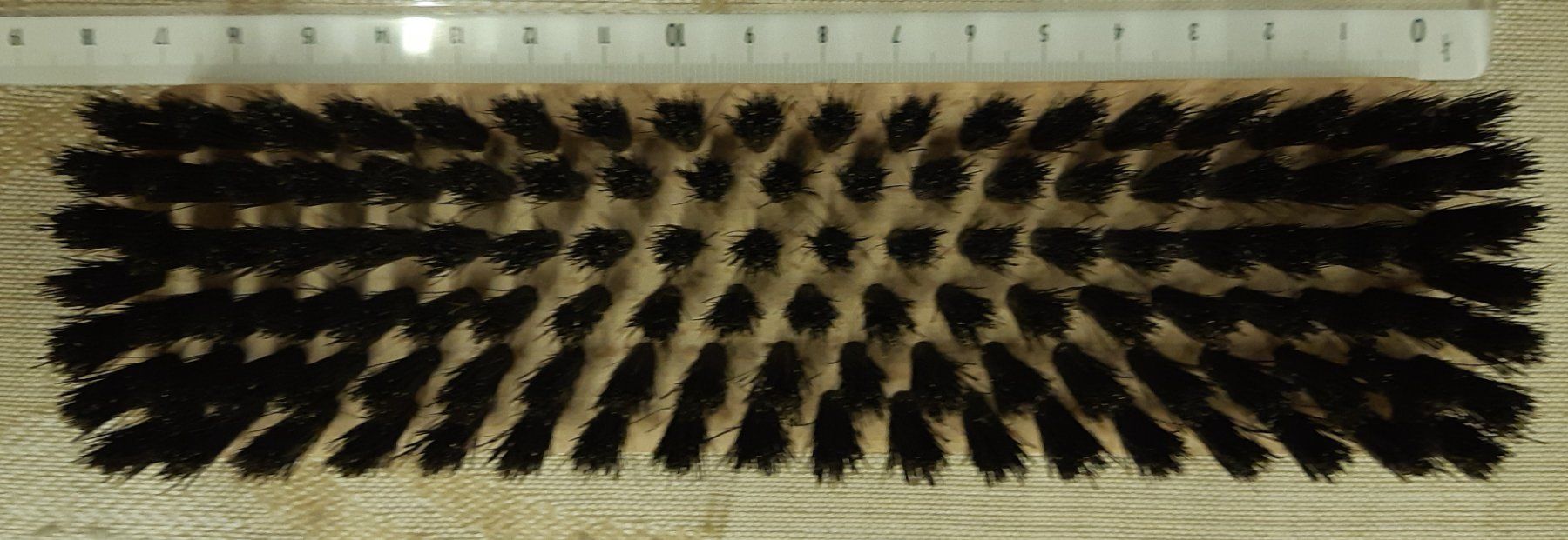 Altro per la casa: Bürste, schwarz – Nuovo e nell'imballaggio originale da Trubschachen venduto da MarianneJ01
