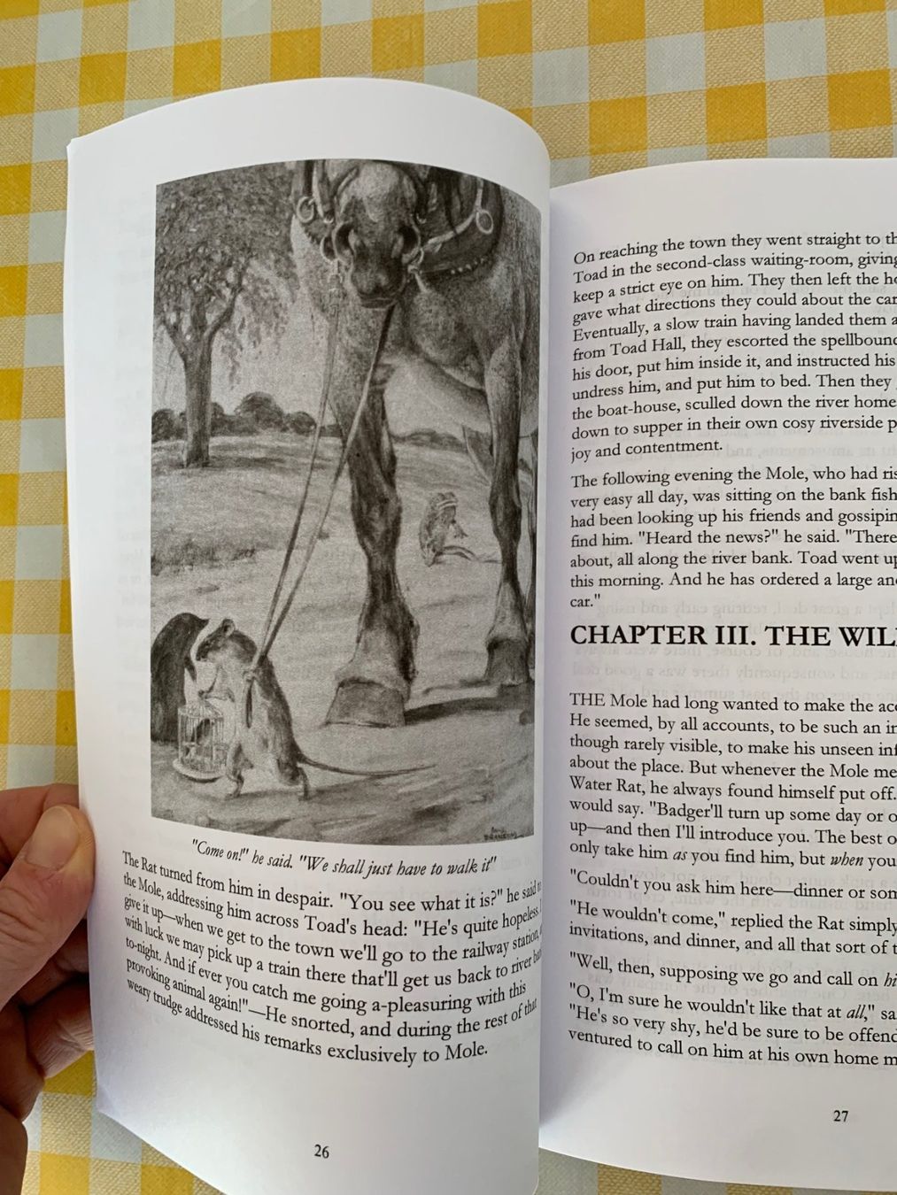 Bücher: The Wind In the Willows von Paul Bransom – Neu (gemäss Beschreibung) aus Zürich von kicconet 1