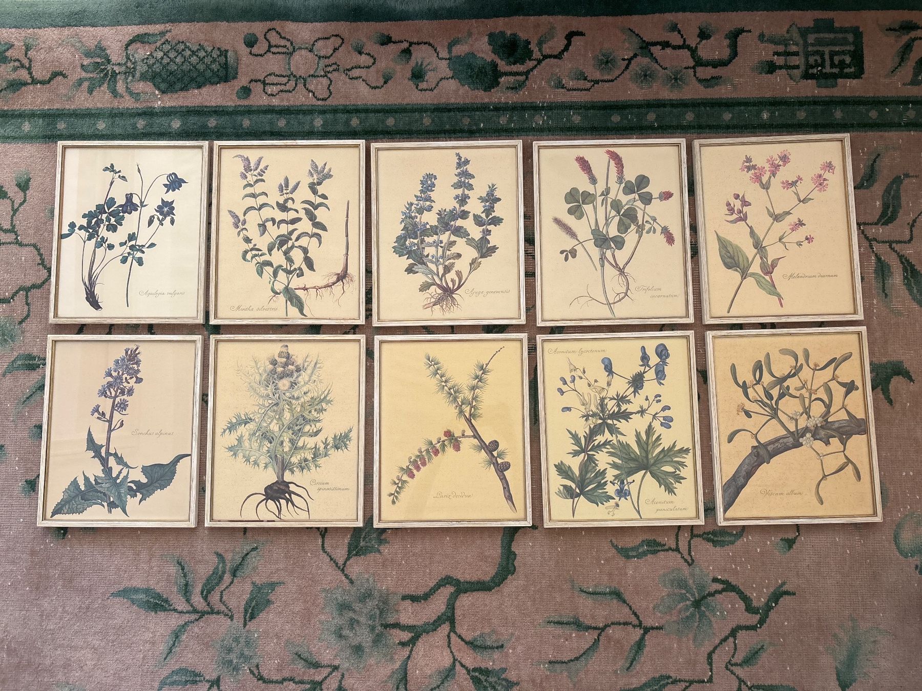 Cornici: Botanical Collection Bilderrahmen – Usato da Zürich venduto da JalapenoChili