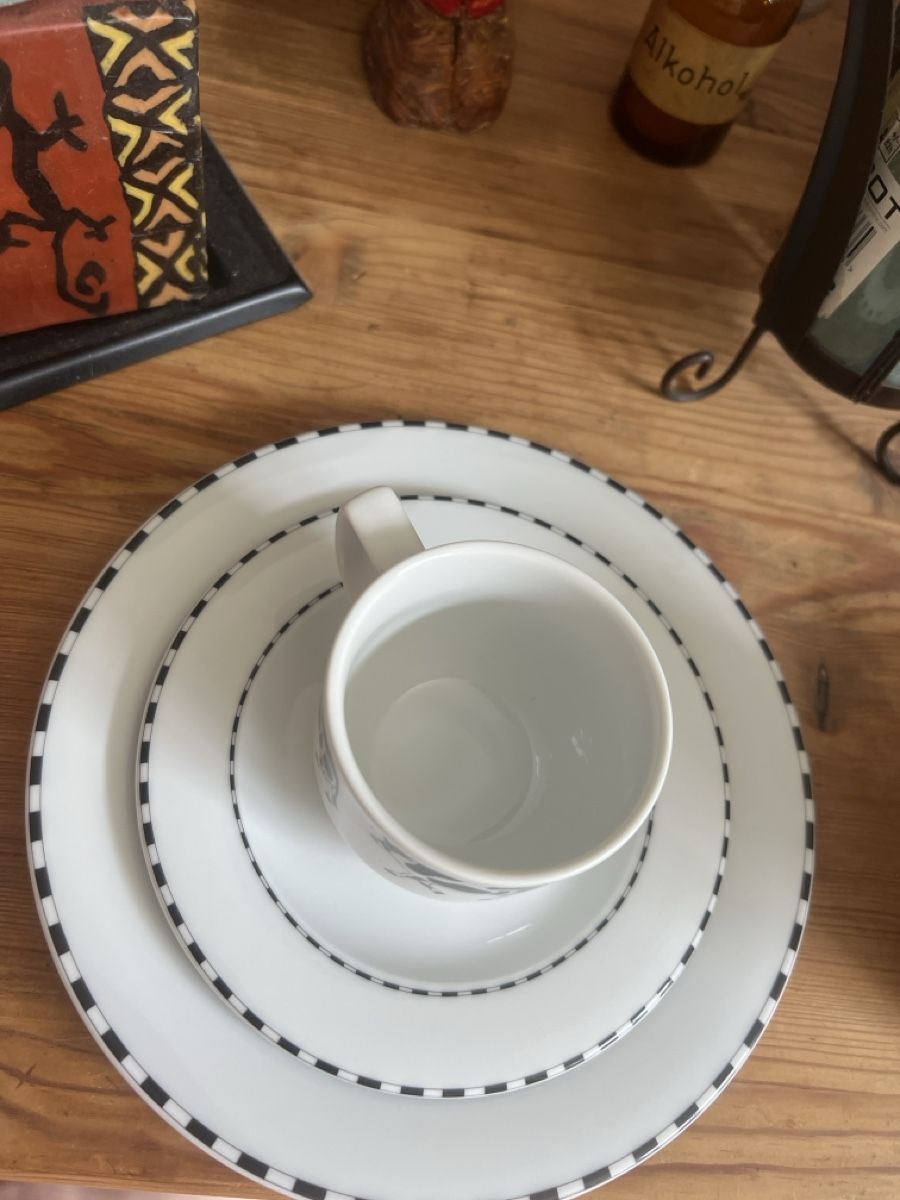 Set di piatti: Seltene Rosenthal Kuhteller & Tassen - geschirr set küche – Nuovo (secondo la descrizione) da Liestal venduto da jorge0000 4