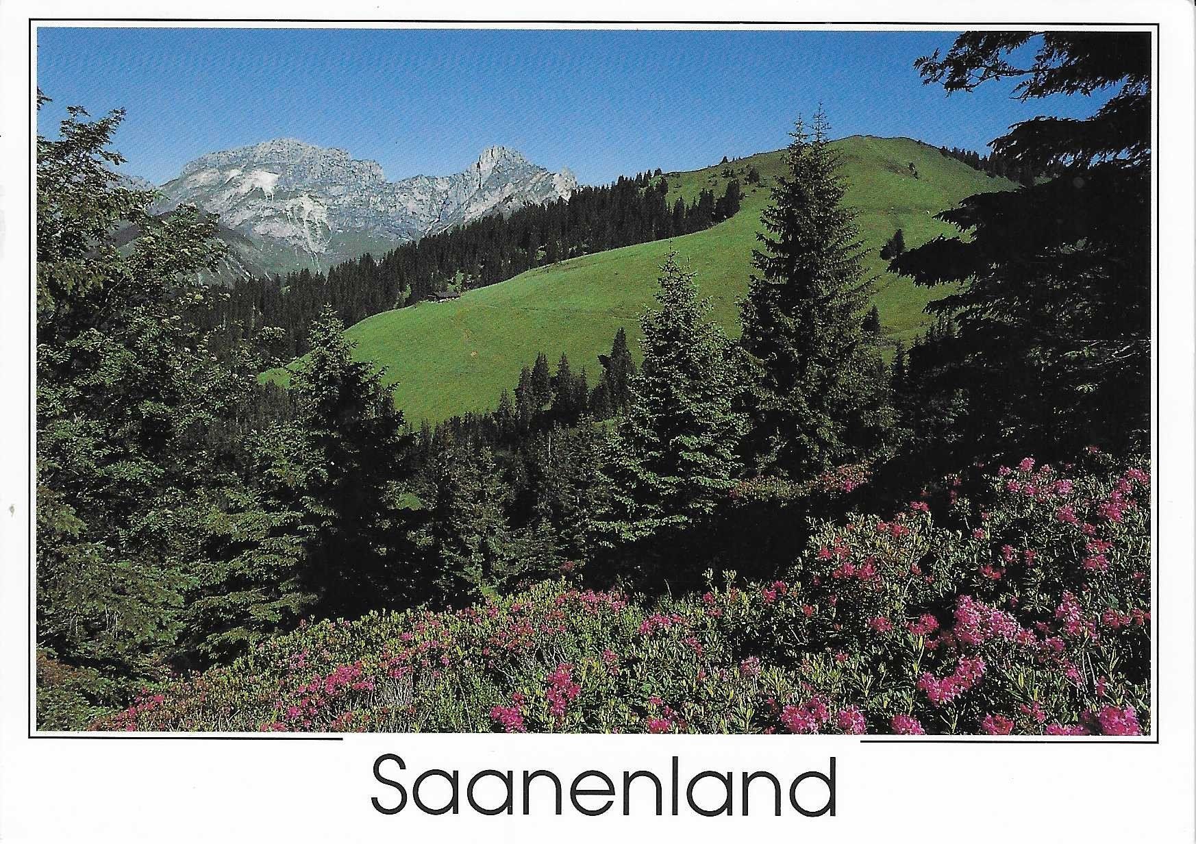 Cartes postales: Saanenland BE – Neuf (Voir description) à Rothrist par Stranglehold