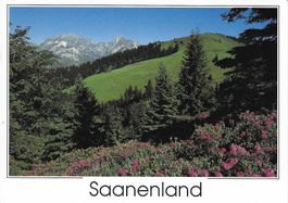 Saanenland BE