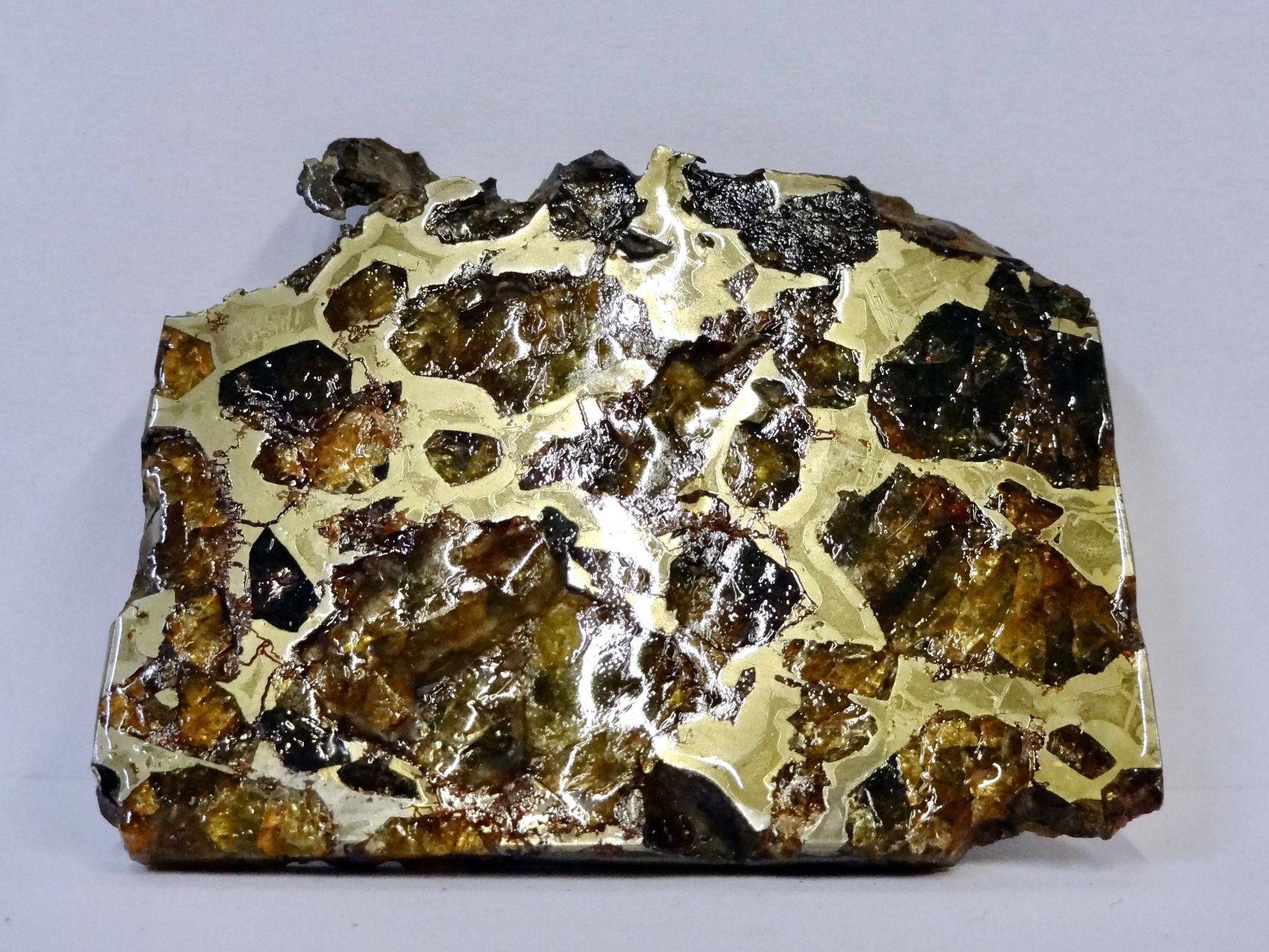 Minerali & Pietre curative: Meteorit PALLASIT Eisen-Stein-Meteorit BRAHIN BELARUS – Nuovo (secondo la descrizione) da Kerzers venduto da djstarsky73 3