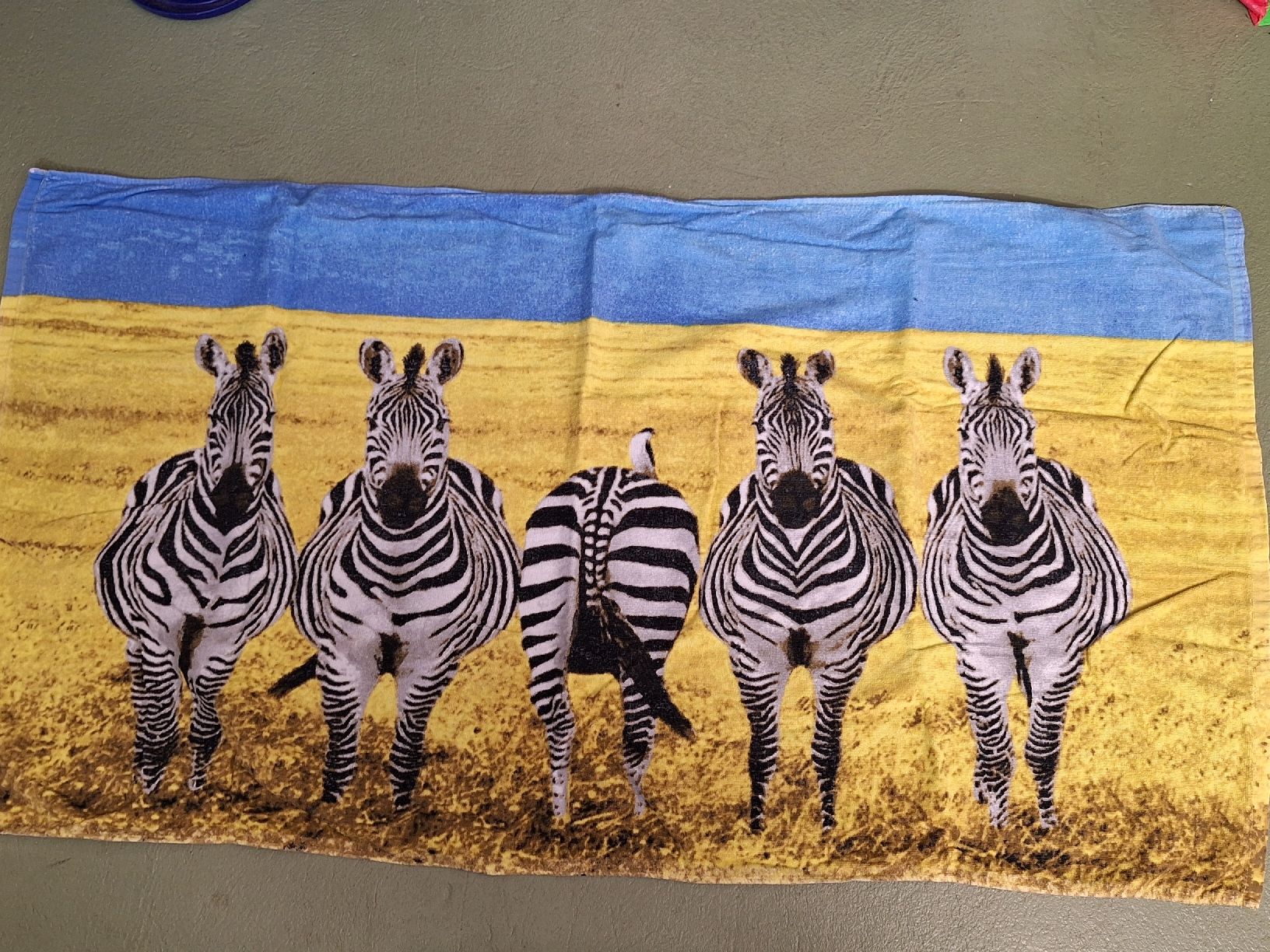Teli da bagno: Zebra Badetuch – Usato da Niederglatt ZH venduto da Bobsli