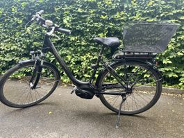 Elektro Velo Hercules Bosch Active Line