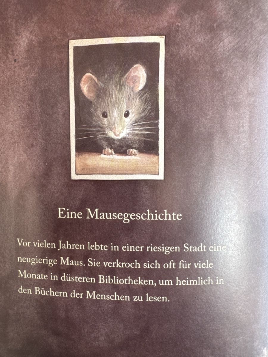 Libri: Lindbergh, die abenteuerliche Geschichte einer fliegenden Ma – Usato da Eschenz venduto da Belladog 3