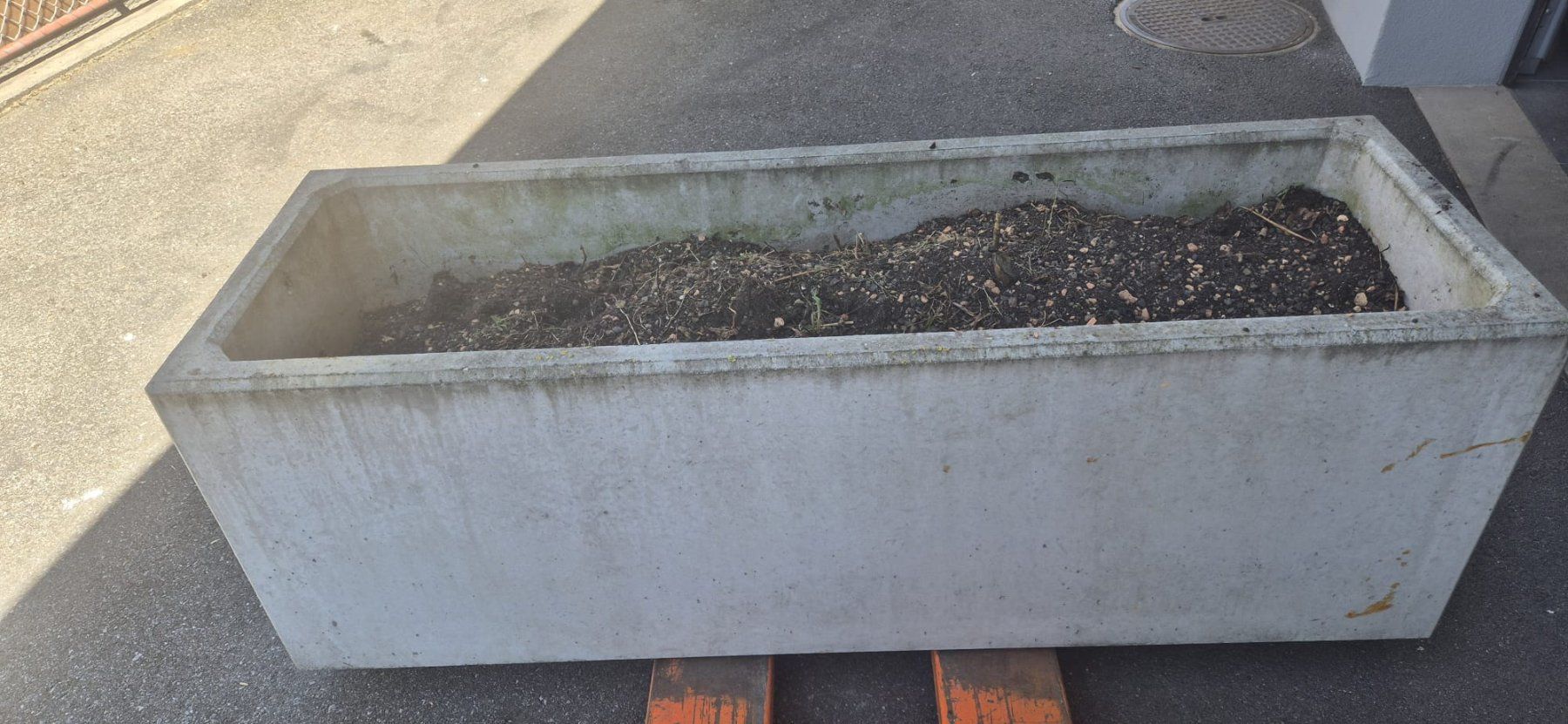 Vasi per fiori: Grosser Pflanzen-Betontrog – Usato da Buchs AG venduto da dcbu 3