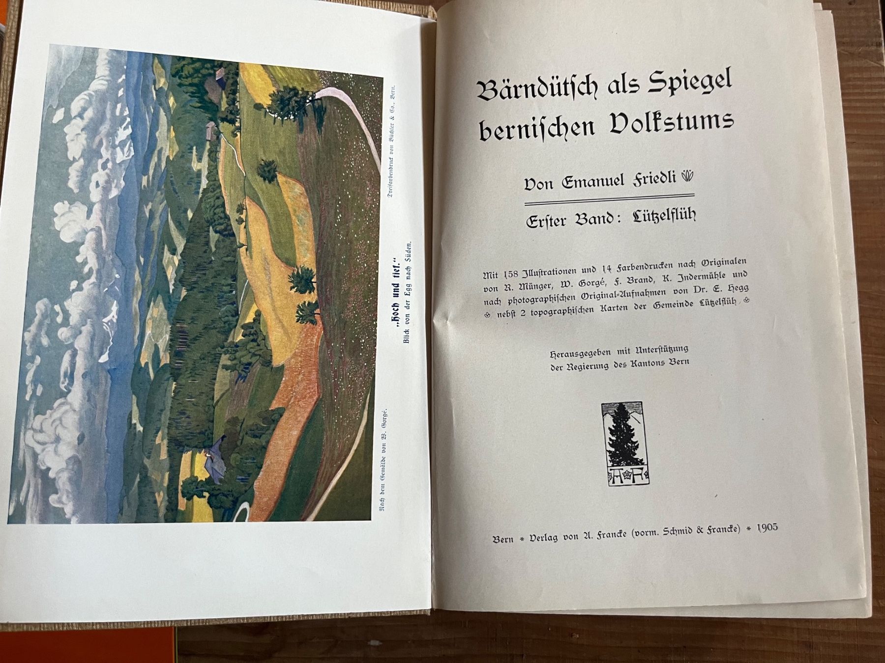 Bücher: buch, lützelflüh, friedli, bärndütsch als spiegel... – Gebraucht aus Emmenmatt von flyrecords 1