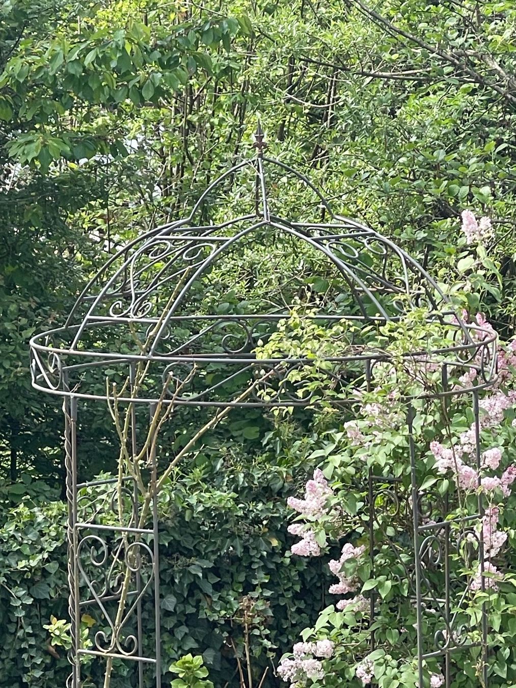 Altre Decorazioni per giardino: Romantischer massiver Gartenpavillon – Usato da Villnachern venduto da socondlife 4