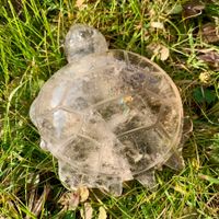 * Rauchquarz Schildkröte * 233g Handgeschnitzt AAA Qualität
