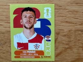 Panini CRO 16