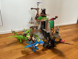 Drachenzähmen leicht gemacht Playmobil