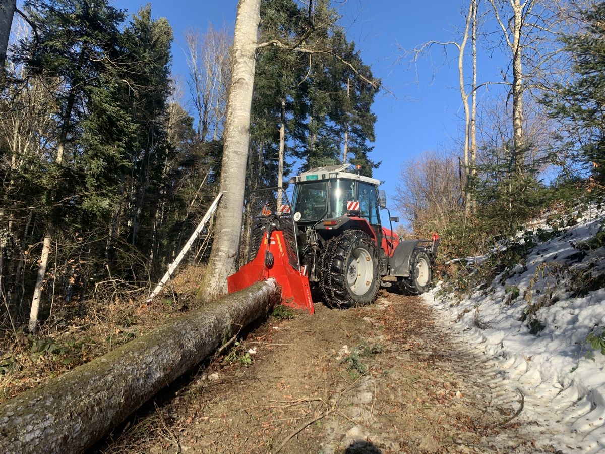 Massey Ferguson Trattori: Massey Ferguson – Usato da Niedermuhlern venduto da Claasaxos 4