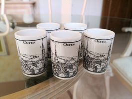 🤩6 STK: 5 OLTNER SCHNAPPSGLÄSER & 1 FLASCHE