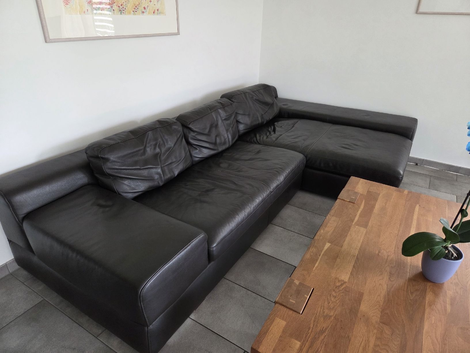 Divani: Ecksofa Leder dunkelbraun gebraucht  – Usato da Baar venduto da Daber 1