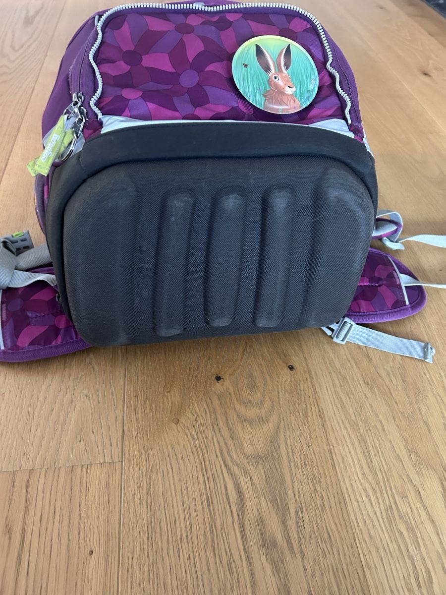 Ergobag Sacs à dos: Ergobag Schulthek mit Zubehör – D'occasion à Marbach LU par Mofie 3