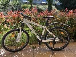 Bergamont Blades Mountainbike, 26 Zoll, Top Zustand!