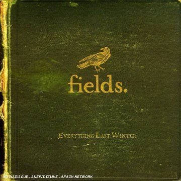 CDs: Fields - Everything Last Winter – D'occasion à Uzwil par visions77