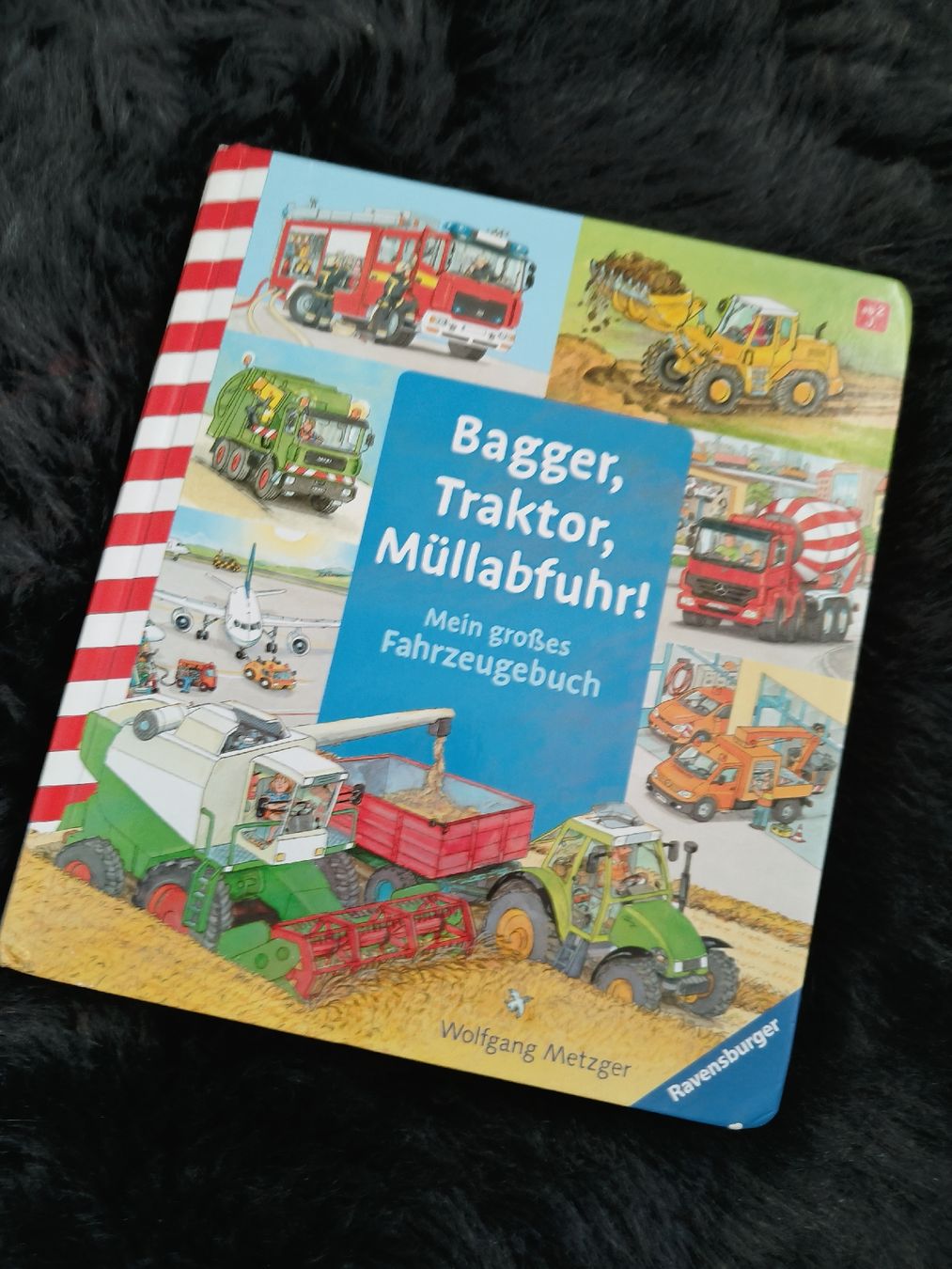 Libri: Bagger, Traktor, Müllabfuhr! – Usato da Dietlikon venduto da Dietlikon_Verkauf