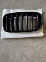 Kühlgrill für BMW X5 F15 und X6 F16