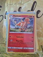 Rapidash - Classic Collection Holo