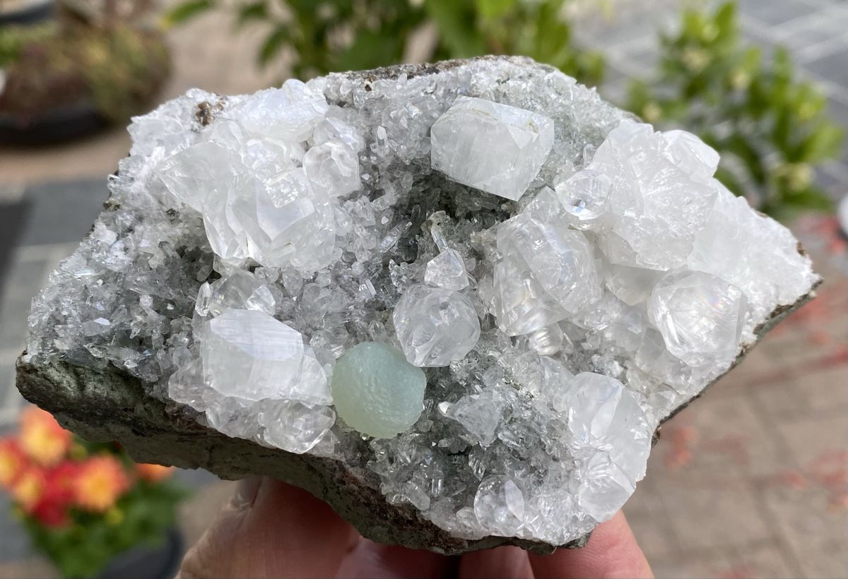 Minerali & Pietre curative: Top Apophyllit mit grünem Gyrolith – Usato da Selzach venduto da 321compac 6