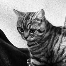 Profile image of honiggblume