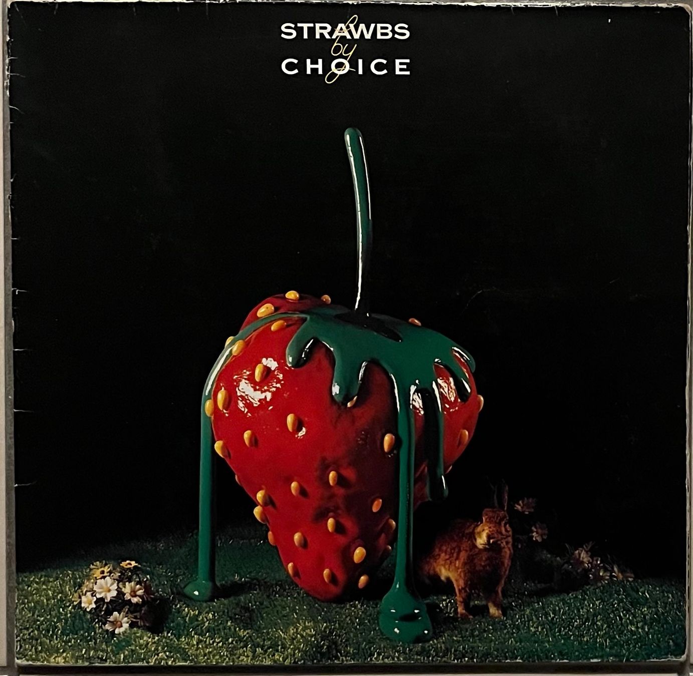 Dischi in vinile: STRAWBS - STRAWBS BY CHOICE - 33 Tours – Usato da Bussigny venduto da vinyl-pas-cher