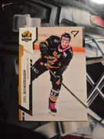 Joel Scheidegger HC Ajoie Sportzoo 2024/25