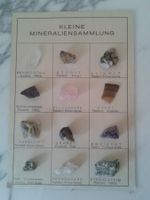 kleine Mineraliensammlung  12 versch. Mineralien Vintage