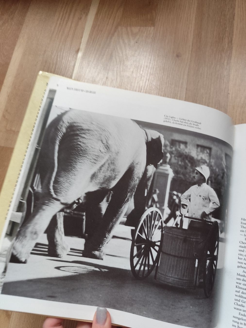 Bücher: Jerry Epstein Erinnerungen an Charlie Chaplin – Gebraucht aus Mägenwil von VintageGirly 7