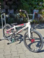 Race BMX Supercross Expert Pro