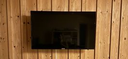 TV TCL 43P615 43"
