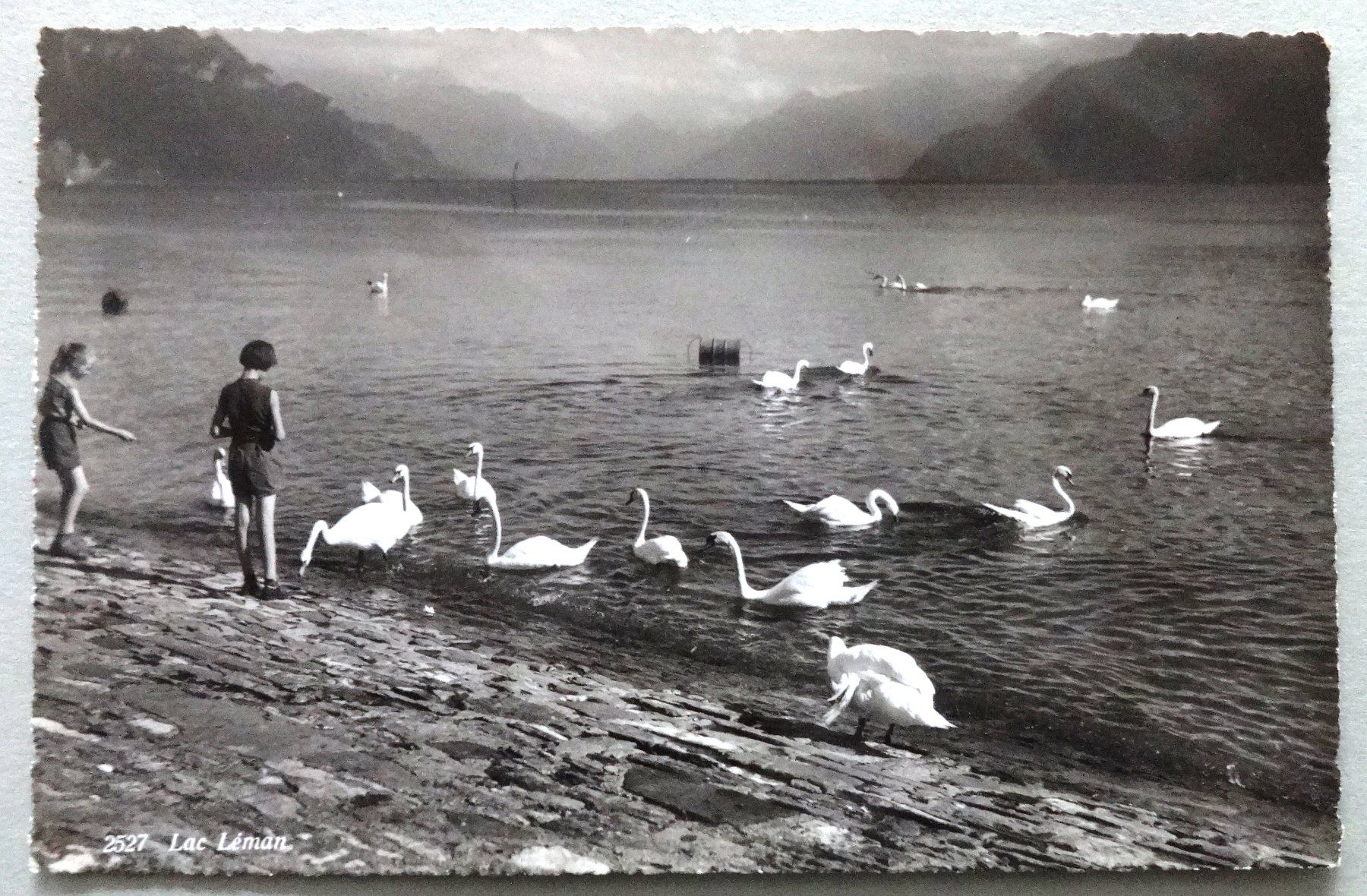 Cartes postales: Lac Léman – D'occasion à Fétigny par Billy2miny