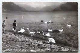 Lac Léman