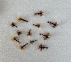 12 Royal Wulff - Trockenfliege
